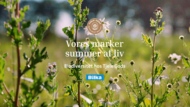 Find Tjele Gods hos BilkaToGo.