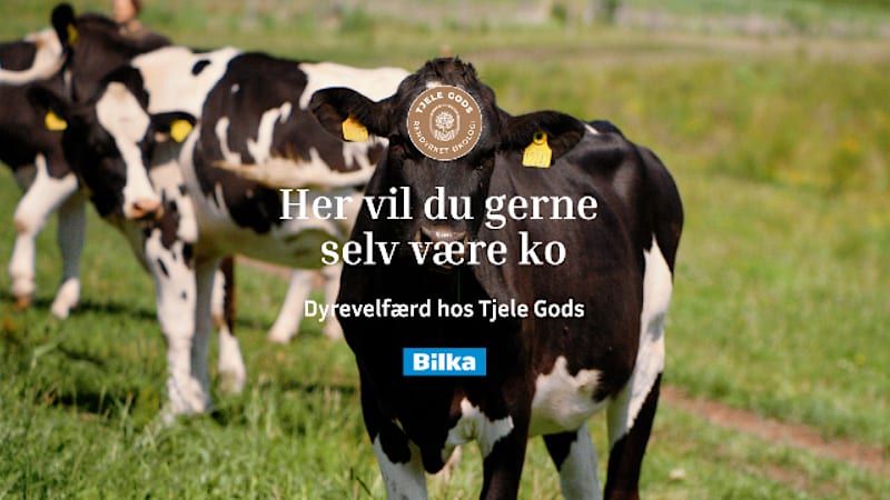 Find Tjele Gods hos Bilka.